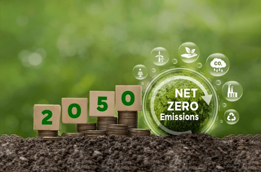Net Zero